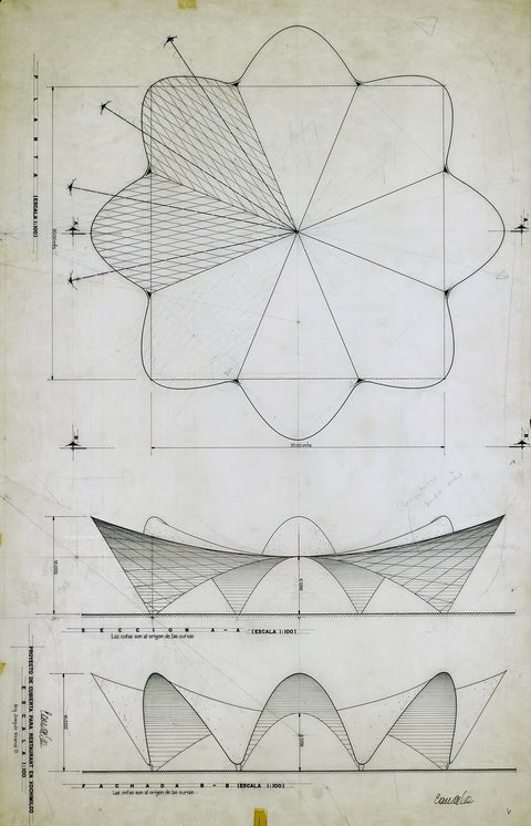 The Architect Who Proved Physics Wrong